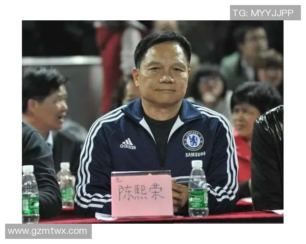 潘字足球球星：从潘帕斯雄鹰到世界舞台的传奇旅程